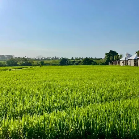 Villa Licia Canggu  Bagian luar foto